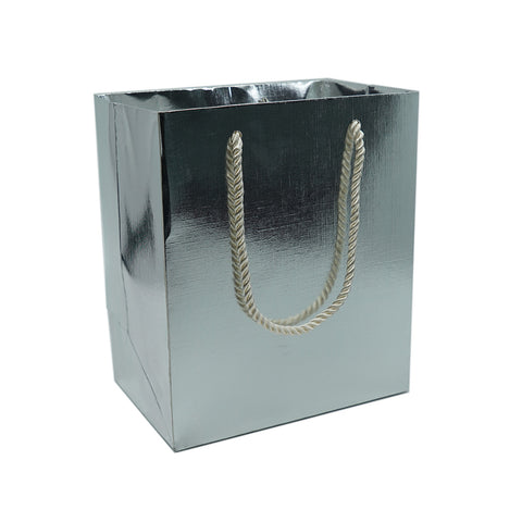 Large Gift Bag-Silver - Amber Packaging